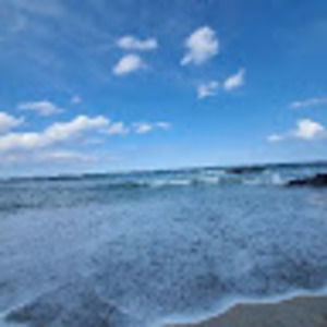 Meet your Posher, Nelly